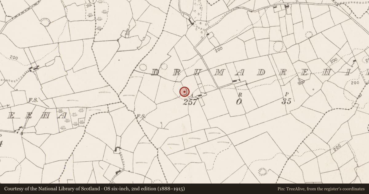 Ordnance Survey six-inch map, 2nd edition (1888–1915) covering the location of Ringfort - rath, Drumadrehid, County Clare, with a pin at the register's coordinates