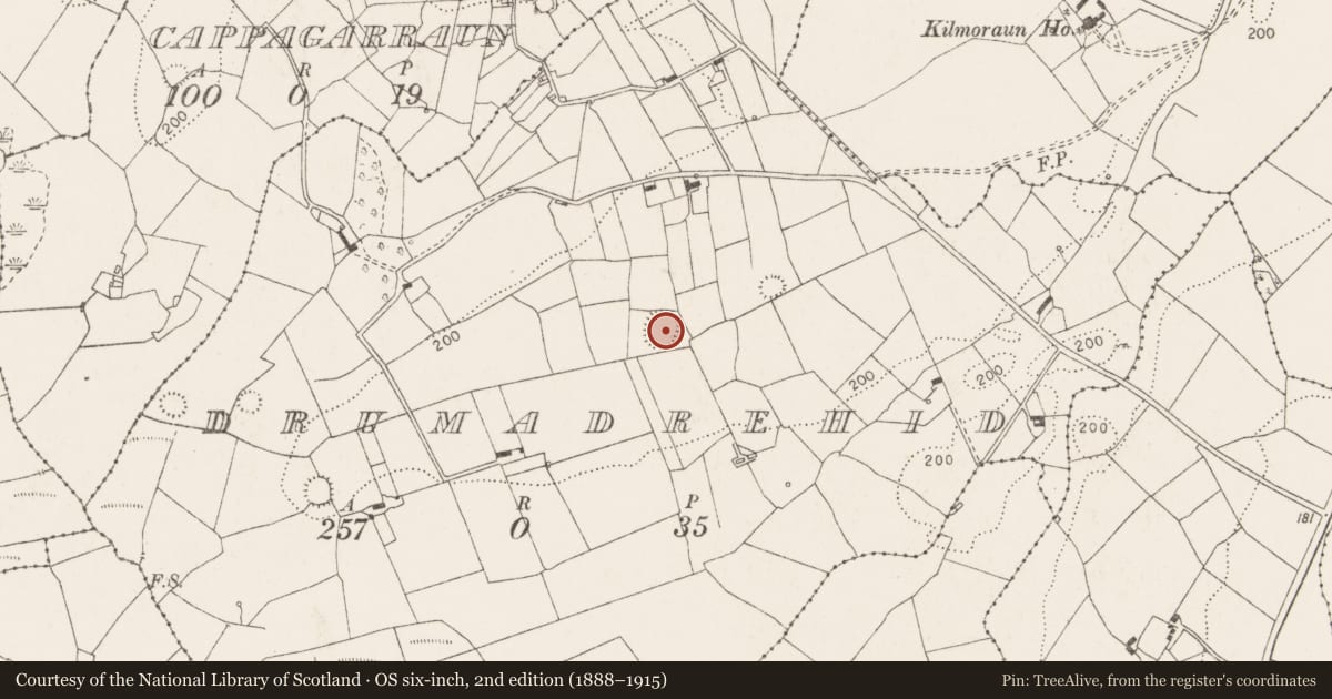 Ordnance Survey six-inch map, 2nd edition (1888–1915) covering the location of Ringfort - rath, Drumadrehid, County Clare, with a pin at the register's coordinates