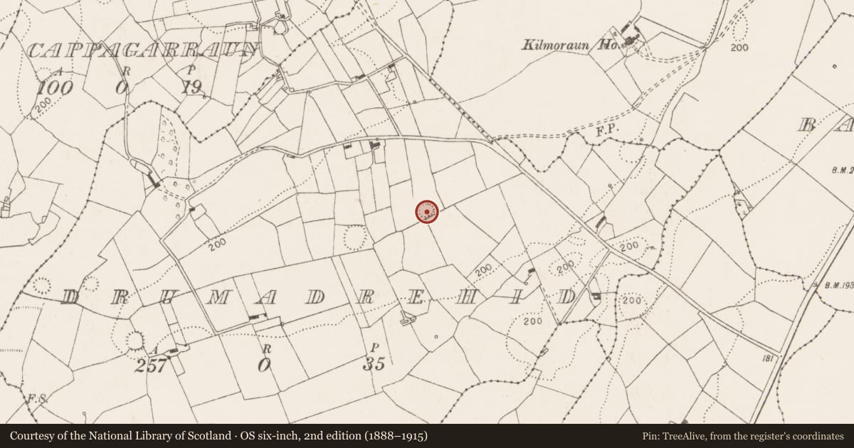 Ordnance Survey six-inch map, 2nd edition (1888–1915) covering the location of Ringfort - rath, Drumadrehid, County Clare, with a pin at the register's coordinates