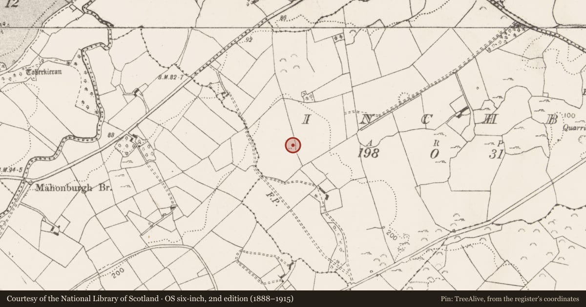 Ordnance Survey six-inch map, 2nd edition (1888–1915) covering the location of Ringfort - rath, Inchbeg, County Clare, with a pin at the register's coordinates