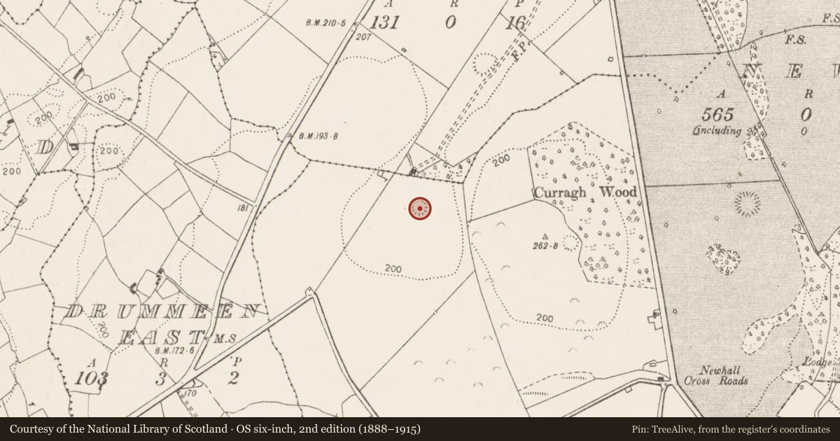 Ordnance Survey six-inch map, 2nd edition (1888–1915) covering the location of Ringfort - rath, Newhall, County Clare, with a pin at the register's coordinates