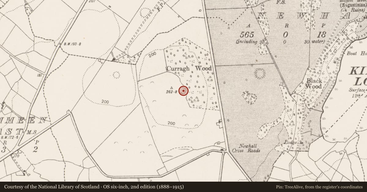 Ordnance Survey six-inch map, 2nd edition (1888–1915) covering the location of Ringfort - rath, Newhall, County Clare, with a pin at the register's coordinates