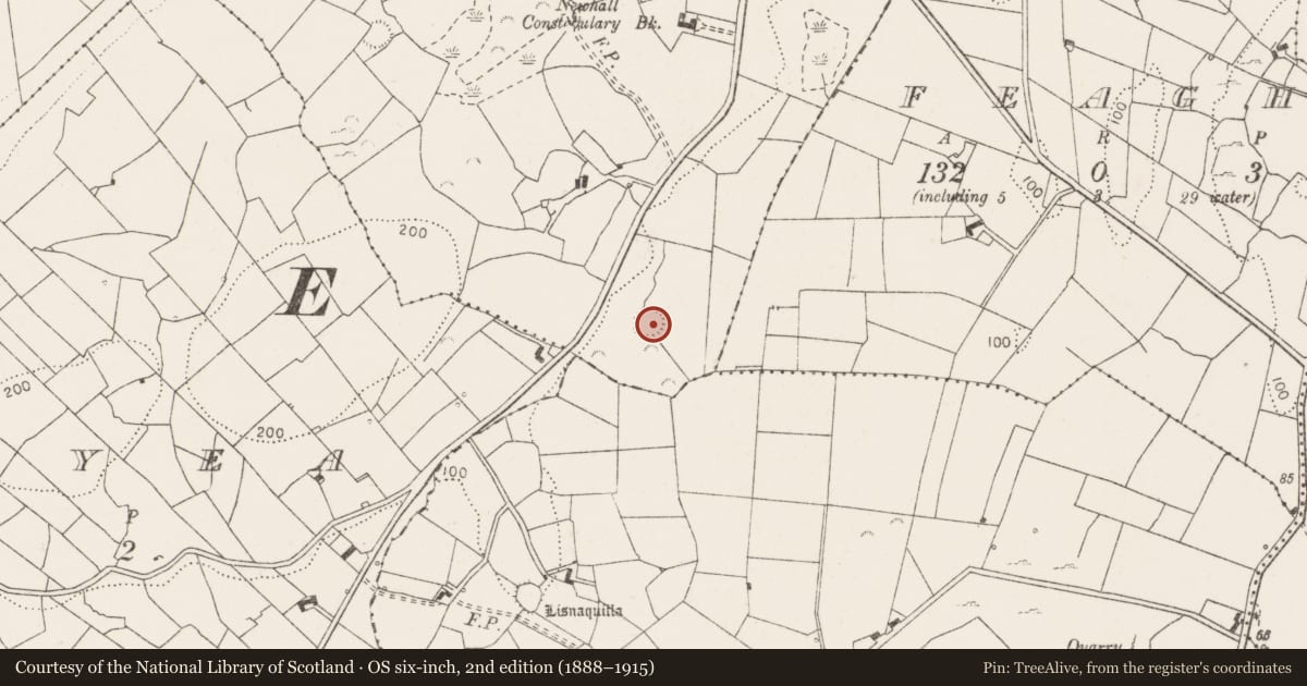 Ordnance Survey six-inch map, 2nd edition (1888–1915) covering the location of Ringfort - rath, Newhall, County Clare, with a pin at the register's coordinates
