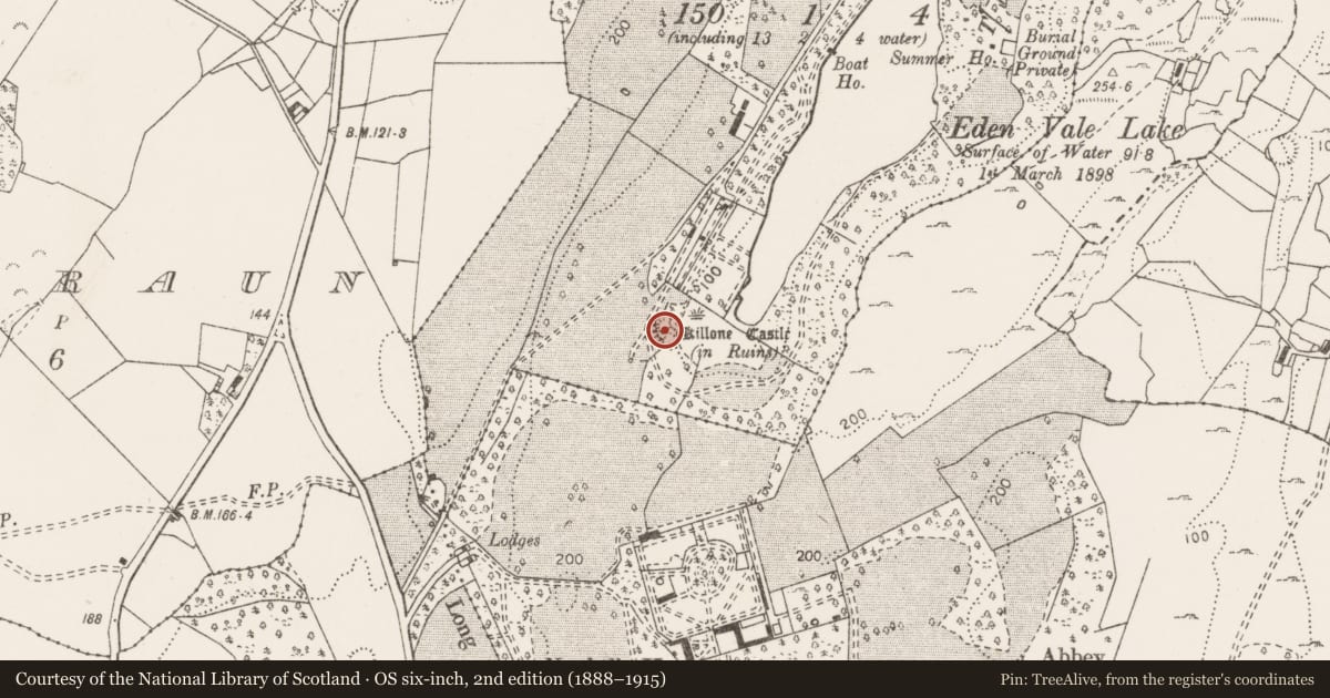 Ordnance Survey six-inch map, 2nd edition (1888–1915) covering the location of Castle - unclassified, Edenvale, County Clare, with a pin at the register's coordinates