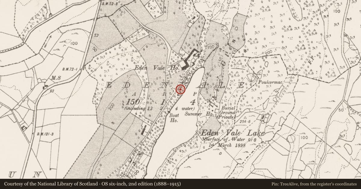 Ordnance Survey six-inch map, 2nd edition (1888–1915) covering the location of Cave, Edenvale, County Clare, with a pin at the register's coordinates