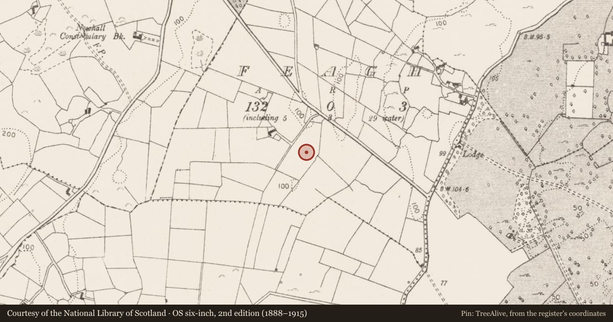 Ordnance Survey six-inch map, 2nd edition (1888–1915) covering the location of Causeway, Feagh, County Clare, with a pin at the register's coordinates