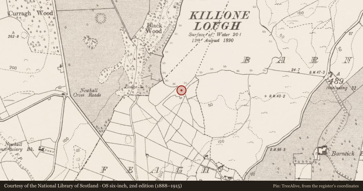 Ordnance Survey six-inch map, 2nd edition (1888–1915) covering the location of Bullaun stone, Feagh, County Clare, with a pin at the register's coordinates