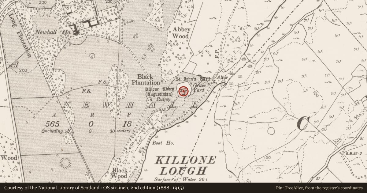 Ordnance Survey six-inch map, 2nd edition (1888–1915) covering the location of Graveslab, Newhall, County Clare, with a pin at the register's coordinates