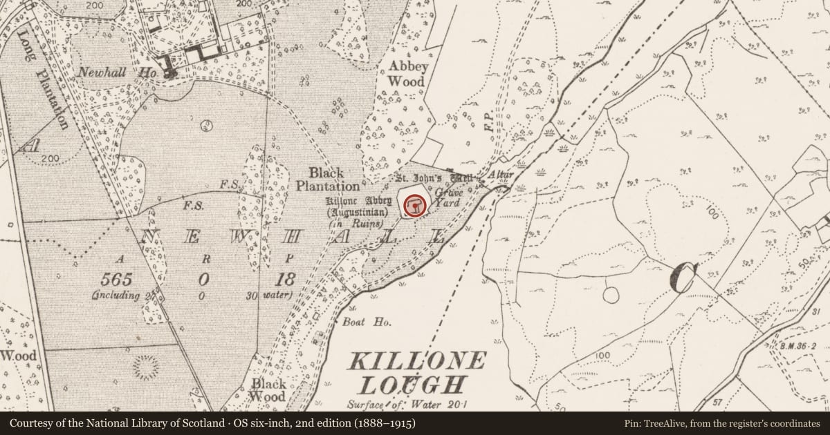 Ordnance Survey six-inch map, 2nd edition (1888–1915) covering the location of Graveslab, Newhall, County Clare, with a pin at the register's coordinates