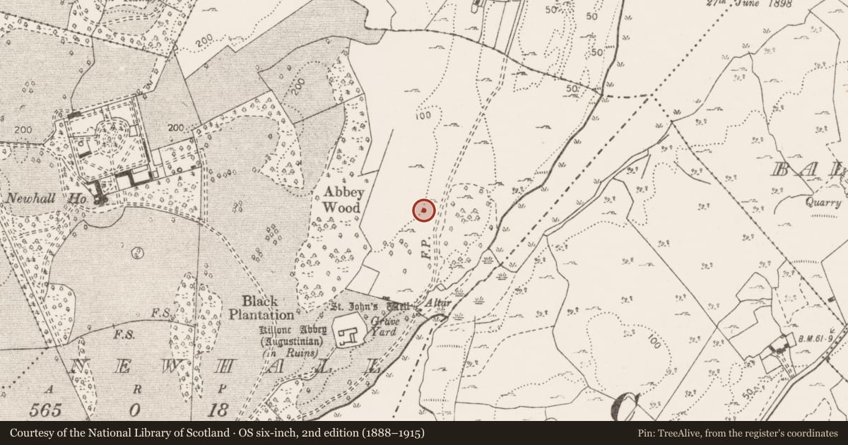 Ordnance Survey six-inch map, 2nd edition (1888–1915) covering the location of Cave, Newhall, County Clare, with a pin at the register's coordinates