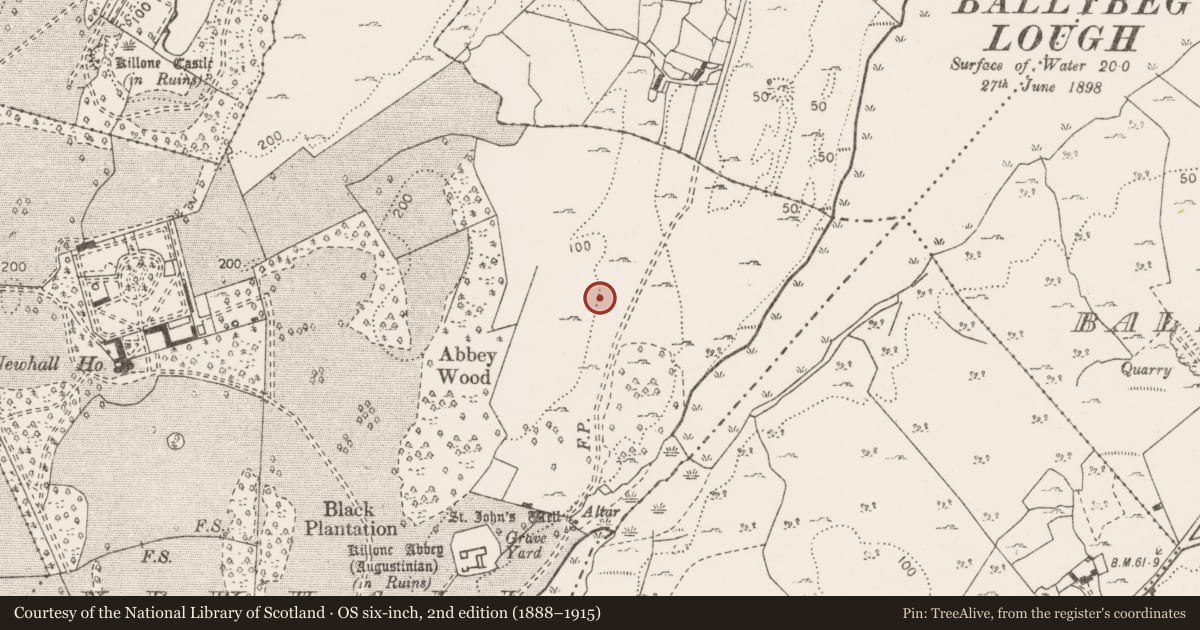 Ordnance Survey six-inch map, 2nd edition (1888–1915) covering the location of Cave, Newhall, County Clare, with a pin at the register's coordinates