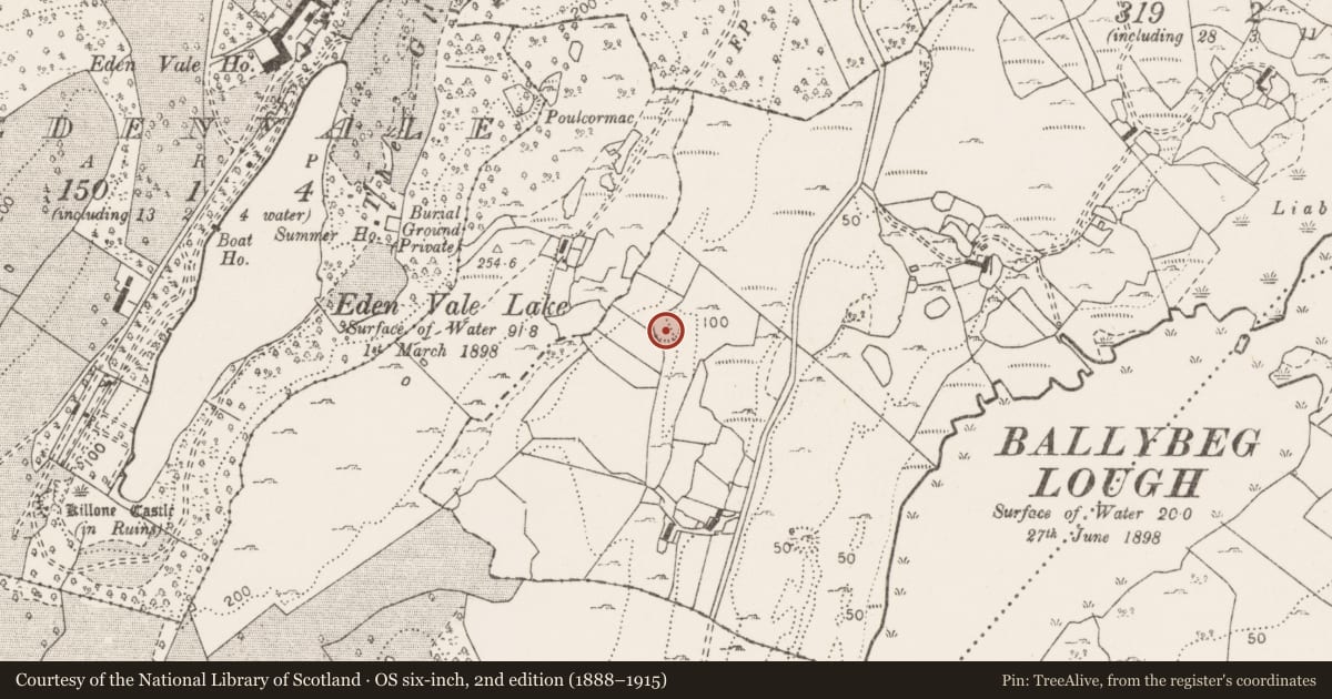 Ordnance Survey six-inch map, 2nd edition (1888–1915) covering the location of Earthwork, Ballybeg, County Clare, with a pin at the register's coordinates