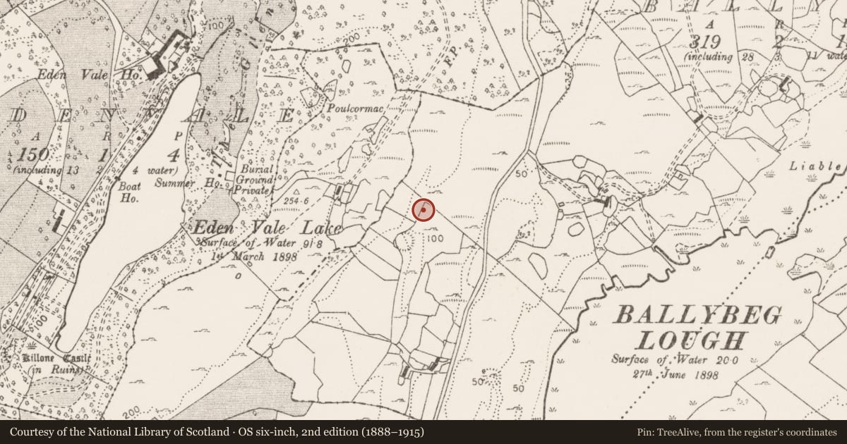 Ordnance Survey six-inch map, 2nd edition (1888–1915) covering the location of Earthwork, Ballybeg, County Clare, with a pin at the register's coordinates