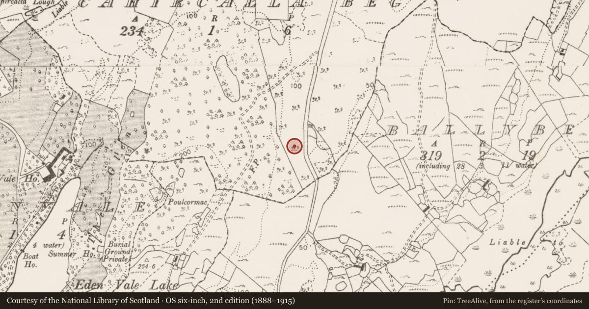 Ordnance Survey six-inch map, 2nd edition (1888–1915) covering the location of Ringfort - cashel, Cahircalla Beg, County Clare, with a pin at the register's coordinates