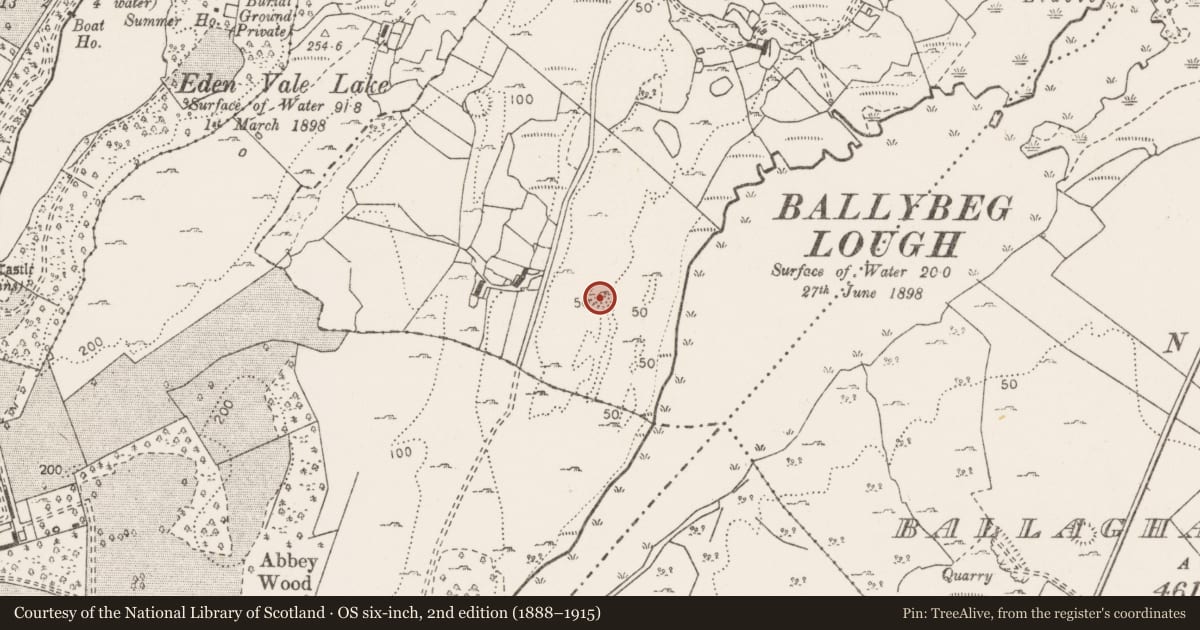 Ordnance Survey six-inch map, 2nd edition (1888–1915) covering the location of Earthwork, Ballybeg, County Clare, with a pin at the register's coordinates
