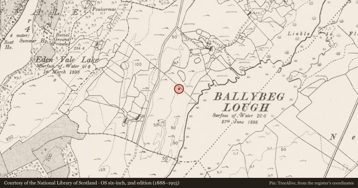 Ordnance Survey six-inch map, 2nd edition (1888–1915) covering the location of Megalithic structure, Ballybeg, County Clare, with a pin at the register's coordinates