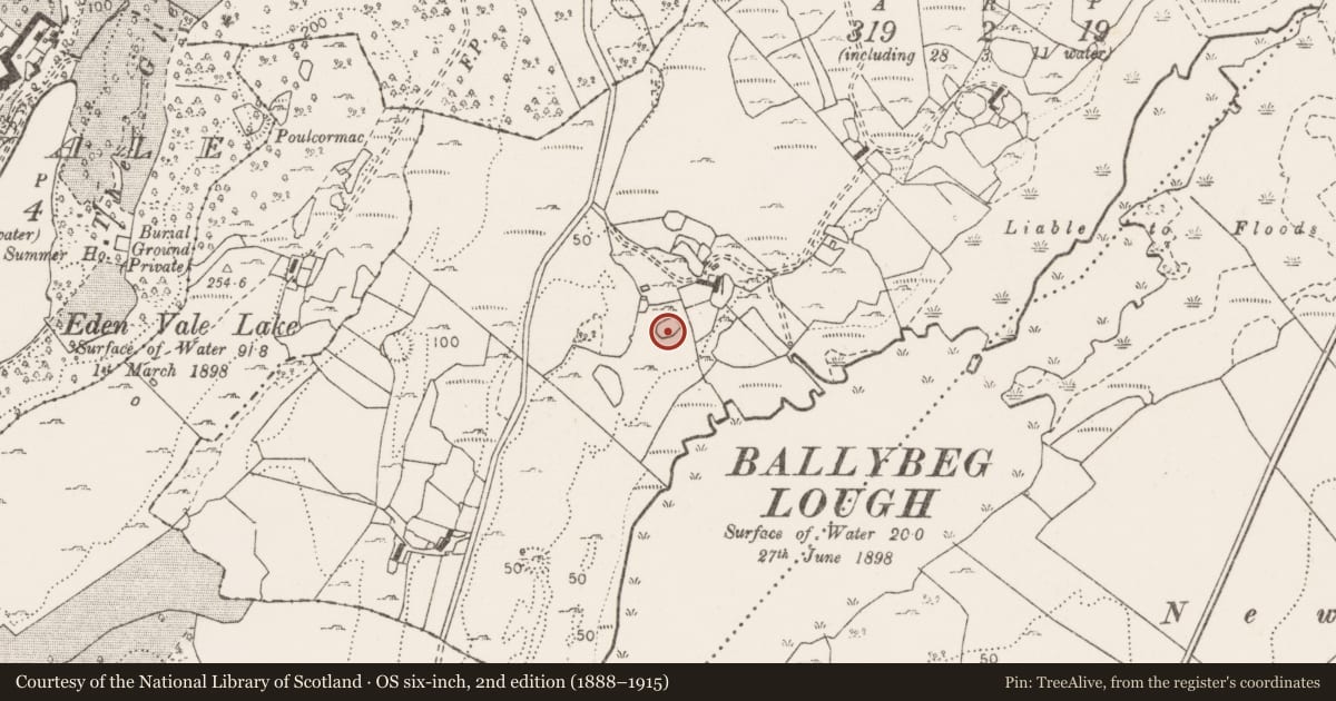 Ordnance Survey six-inch map, 2nd edition (1888–1915) covering the location of Ringfort - cashel, Ballybeg, County Clare, with a pin at the register's coordinates