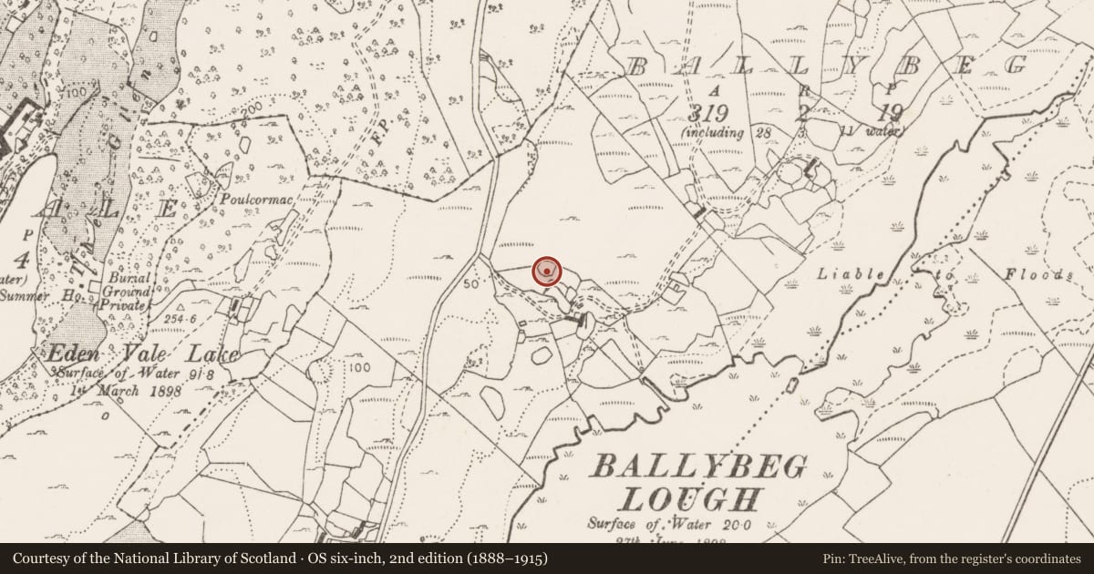 Ordnance Survey six-inch map, 2nd edition (1888–1915) covering the location of Ringfort - cashel, Ballybeg, County Clare, with a pin at the register's coordinates