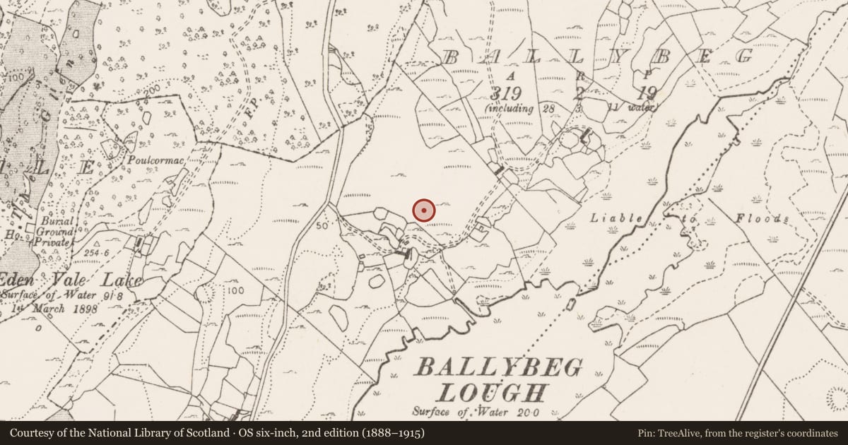 Ordnance Survey six-inch map, 2nd edition (1888–1915) covering the location of Earthwork, Ballybeg, County Clare, with a pin at the register's coordinates