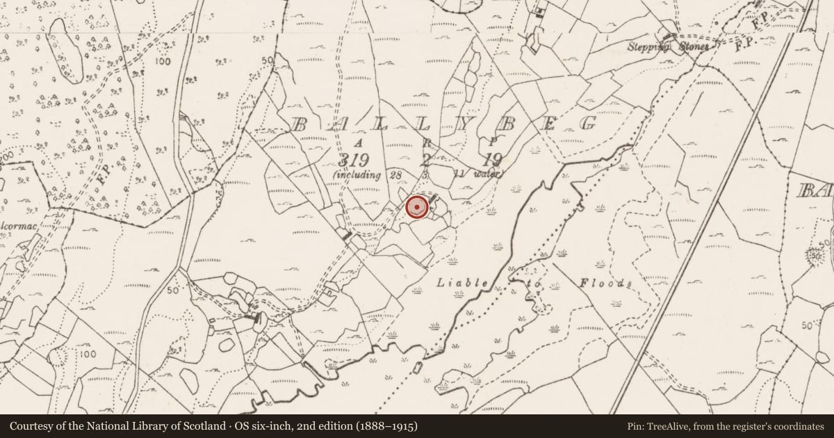Ordnance Survey six-inch map, 2nd edition (1888–1915) covering the location of Earthwork, Ballybeg, County Clare, with a pin at the register's coordinates