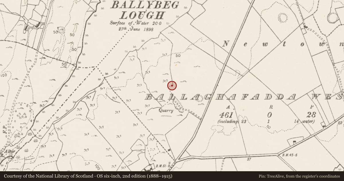 Ordnance Survey six-inch map, 2nd edition (1888–1915) covering the location of Field system, Ballaghafadda West, County Clare, with a pin at the register's coordinates