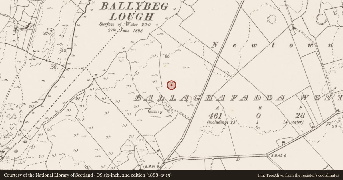 Ordnance Survey six-inch map, 2nd edition (1888–1915) covering the location of Enclosure, Ballaghafadda West, County Clare, with a pin at the register's coordinates
