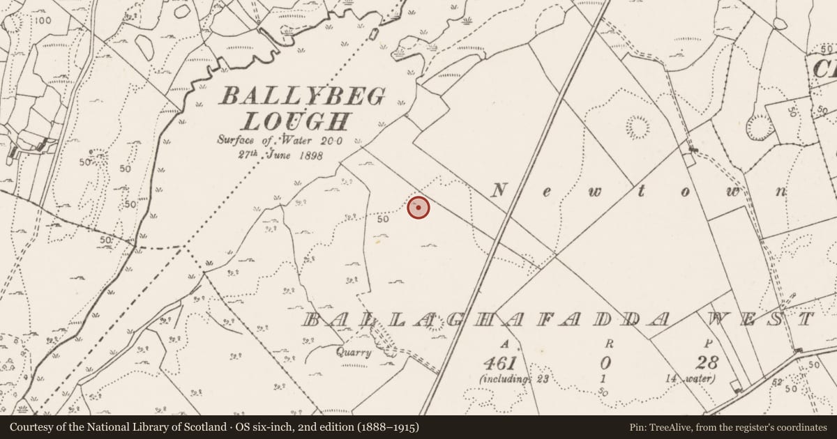 Ordnance Survey six-inch map, 2nd edition (1888–1915) covering the location of Enclosure, Ballaghafadda West, County Clare, with a pin at the register's coordinates