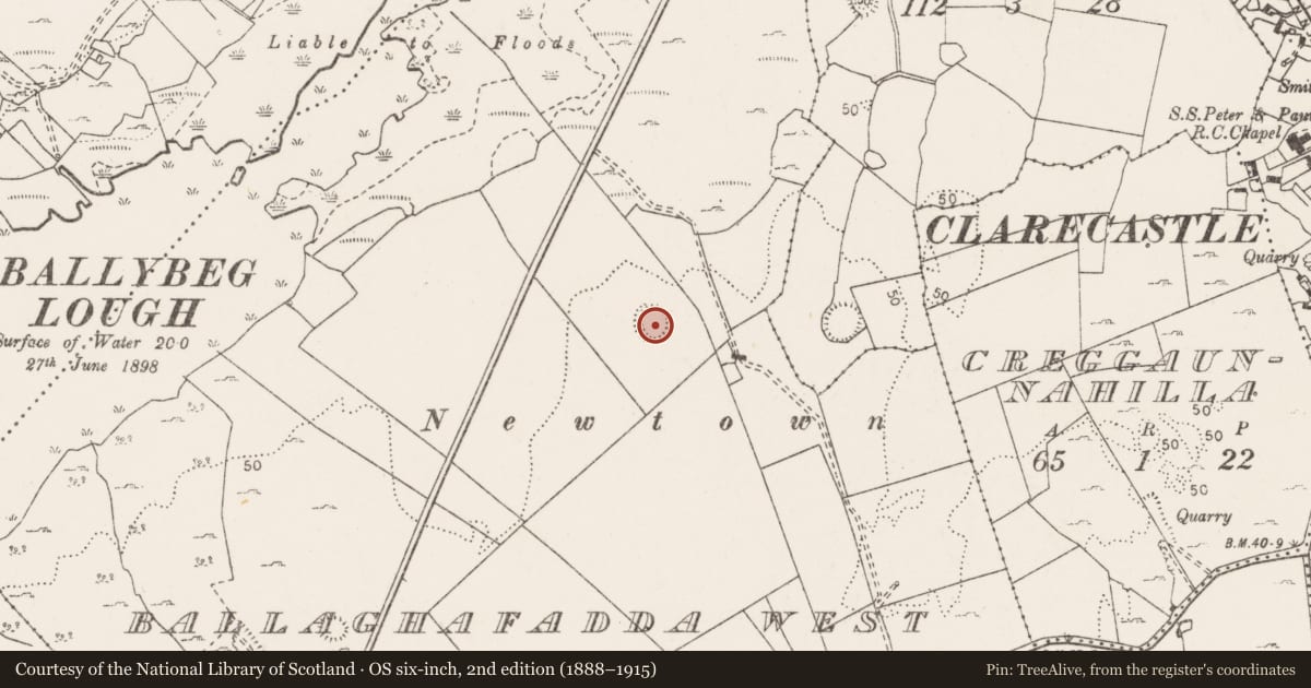 Ordnance Survey six-inch map, 2nd edition (1888–1915) covering the location of Ringfort - rath, Ballaghafadda West, County Clare, with a pin at the register's coordinates