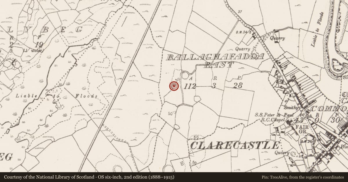 Ordnance Survey six-inch map, 2nd edition (1888–1915) covering the location of Ringfort - rath, Ballaghafadda East, County Clare, with a pin at the register's coordinates