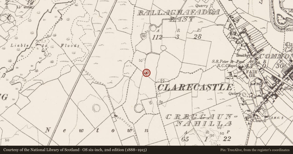 Ordnance Survey six-inch map, 2nd edition (1888–1915) covering the location of Ringfort - rath, Ballaghafadda East, County Clare, with a pin at the register's coordinates