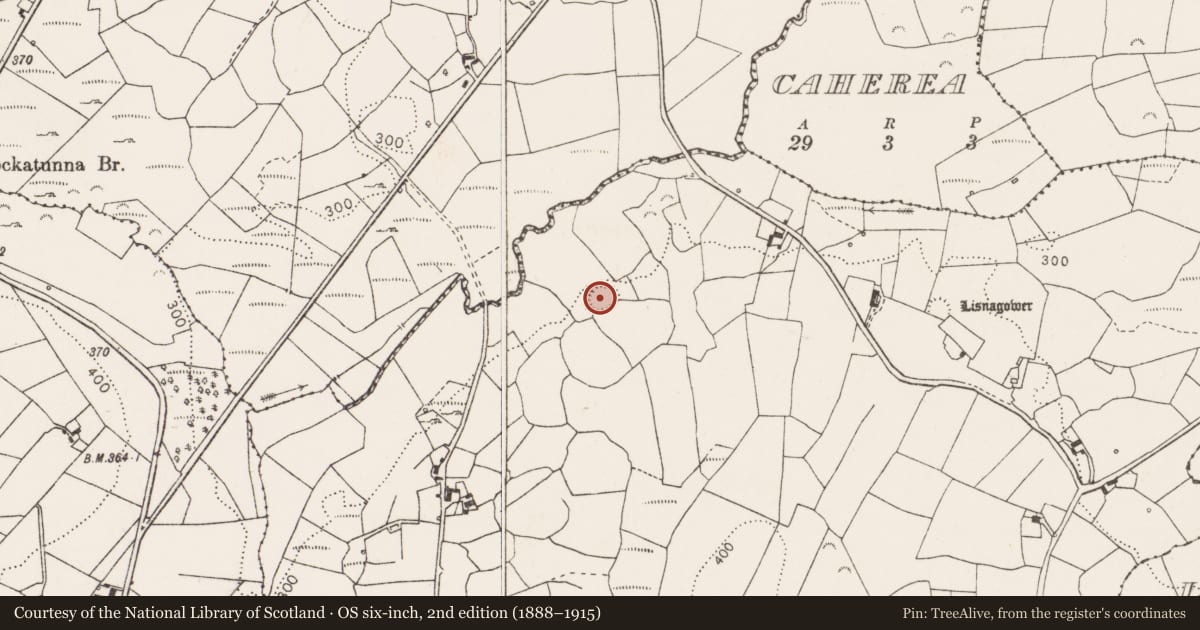 Ordnance Survey six-inch map, 2nd edition (1888–1915) covering the location of Ringfort - rath, Kyleatunna, County Clare, with a pin at the register's coordinates