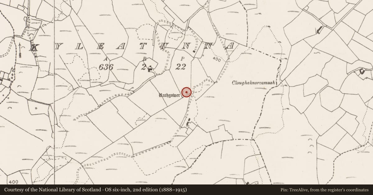Ordnance Survey six-inch map, 2nd edition (1888–1915) covering the location of Ringfort - rath, Kyleatunna, County Clare, with a pin at the register's coordinates