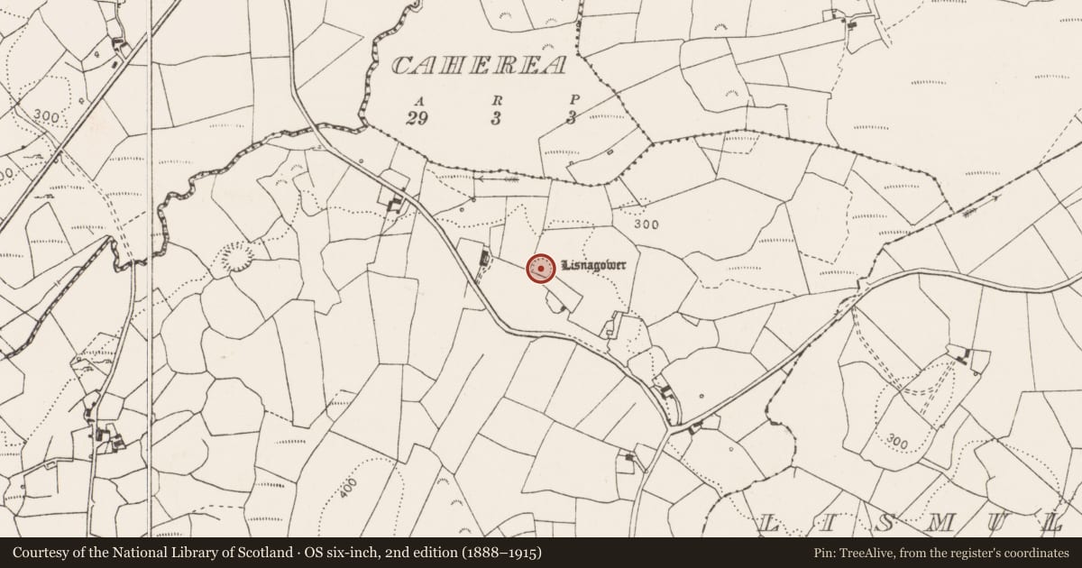 Ordnance Survey six-inch map, 2nd edition (1888–1915) covering the location of Ringfort - rath, Kyleatunna, County Clare, with a pin at the register's coordinates