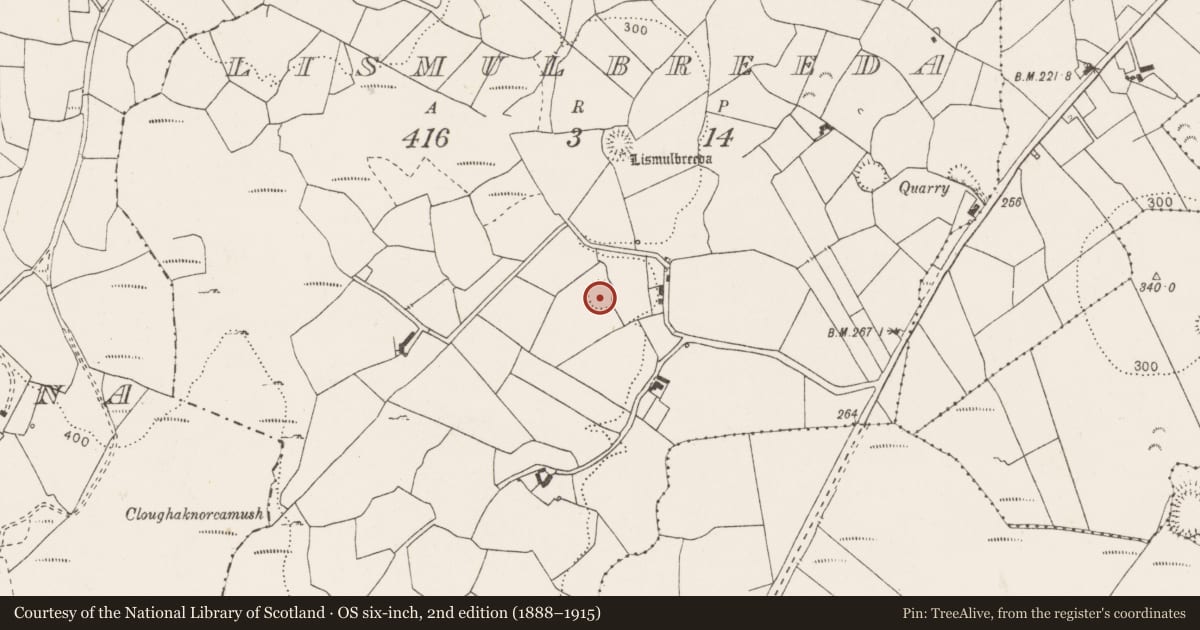 Ordnance Survey six-inch map, 2nd edition (1888–1915) covering the location of Ringfort - rath, Lismulbreeda, County Clare, with a pin at the register's coordinates