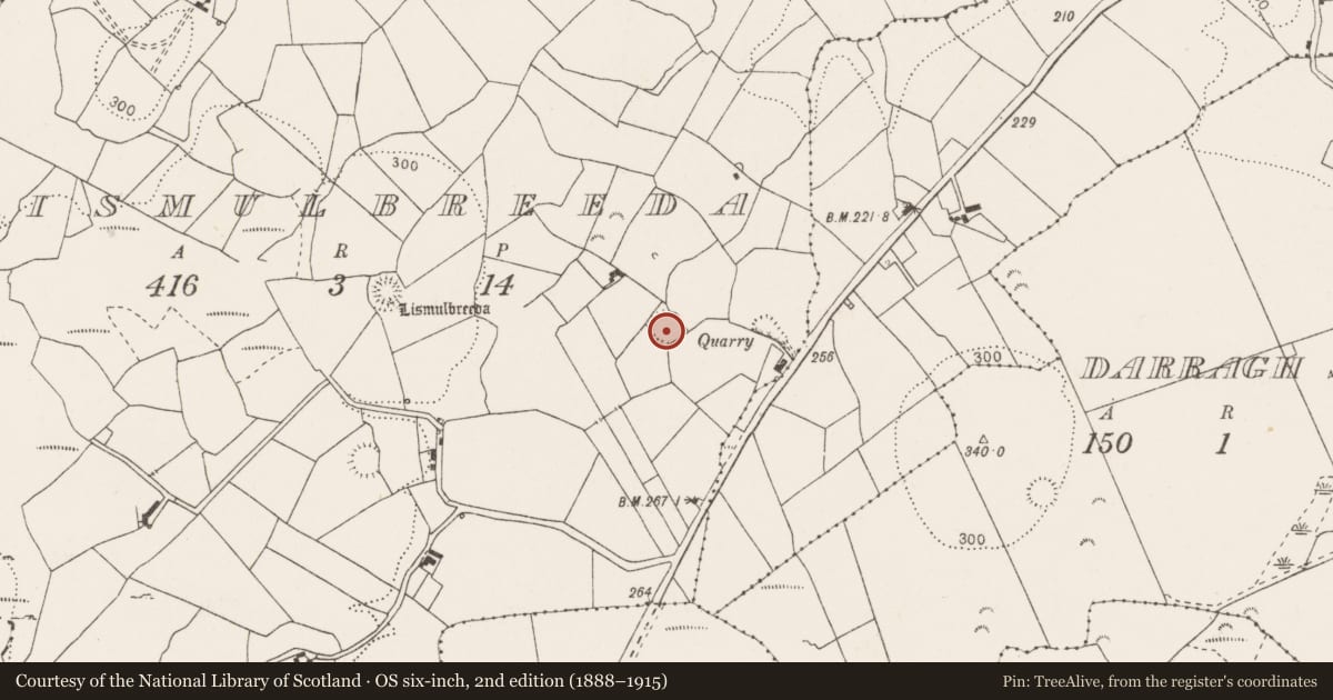 Ordnance Survey six-inch map, 2nd edition (1888–1915) covering the location of Ringfort - rath, Lismulbreeda, County Clare, with a pin at the register's coordinates