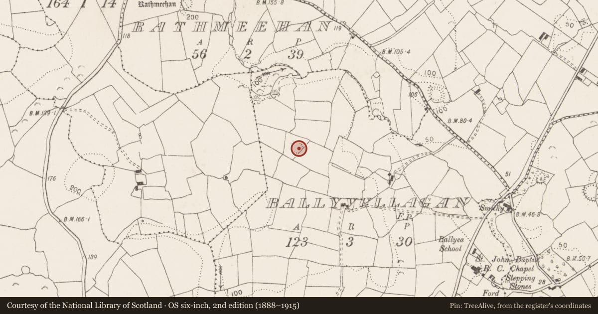 Ordnance Survey six-inch map, 2nd edition (1888–1915) covering the location of Ringfort - rath, Ballyvullagan, County Clare, with a pin at the register's coordinates
