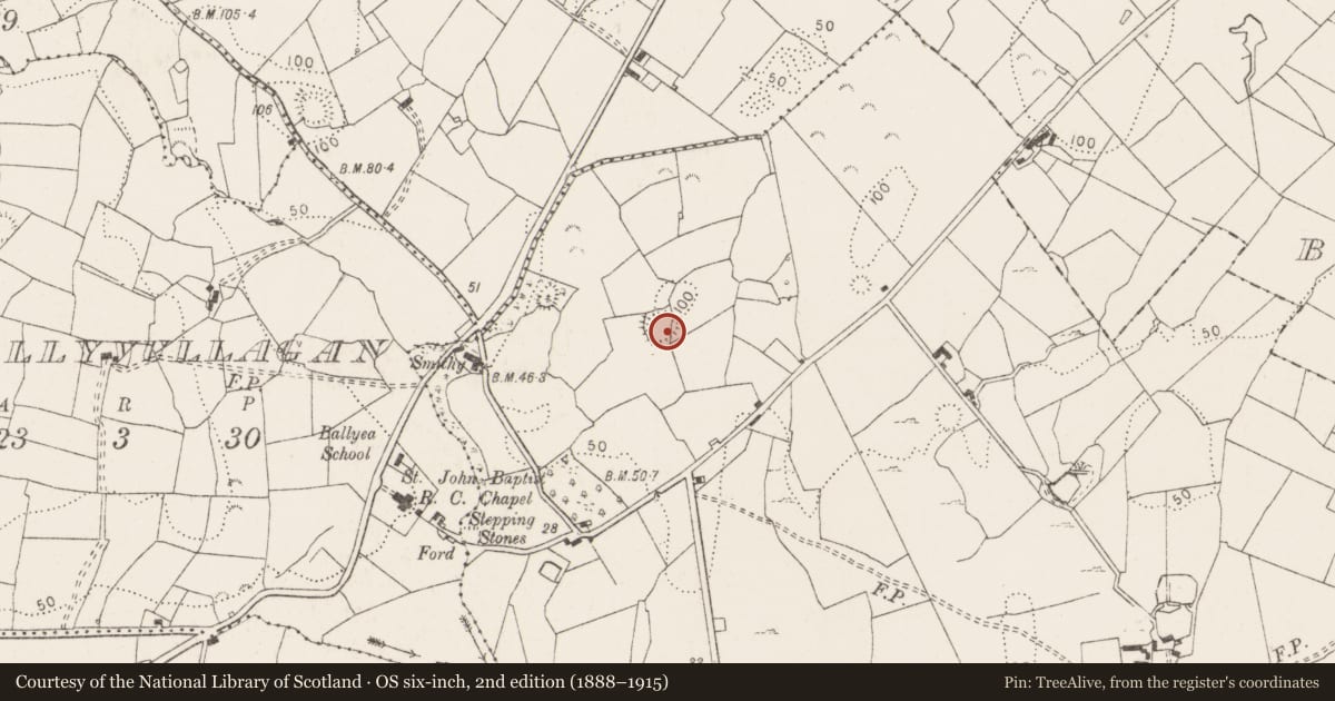 Ordnance Survey six-inch map, 2nd edition (1888–1915) covering the location of Ringfort - rath, Teermaclane, County Clare, with a pin at the register's coordinates