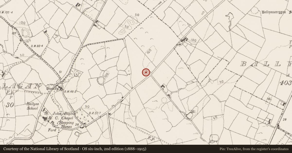 Ordnance Survey six-inch map, 2nd edition (1888–1915) covering the location of Enclosure, Teermaclane, County Clare, with a pin at the register's coordinates