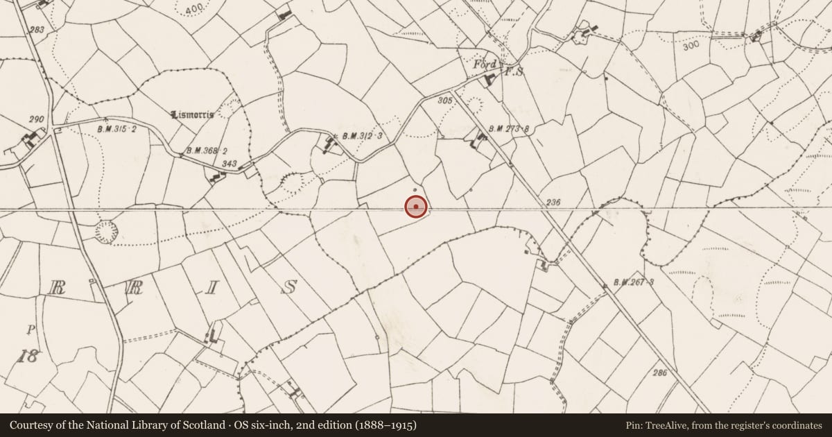 Ordnance Survey six-inch map, 2nd edition (1888–1915) covering the location of Enclosure, Caherea, County Clare, with a pin at the register's coordinates