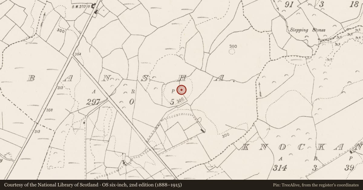 Ordnance Survey six-inch map, 2nd edition (1888–1915) covering the location of Ringfort - rath, Bansha, County Clare, with a pin at the register's coordinates