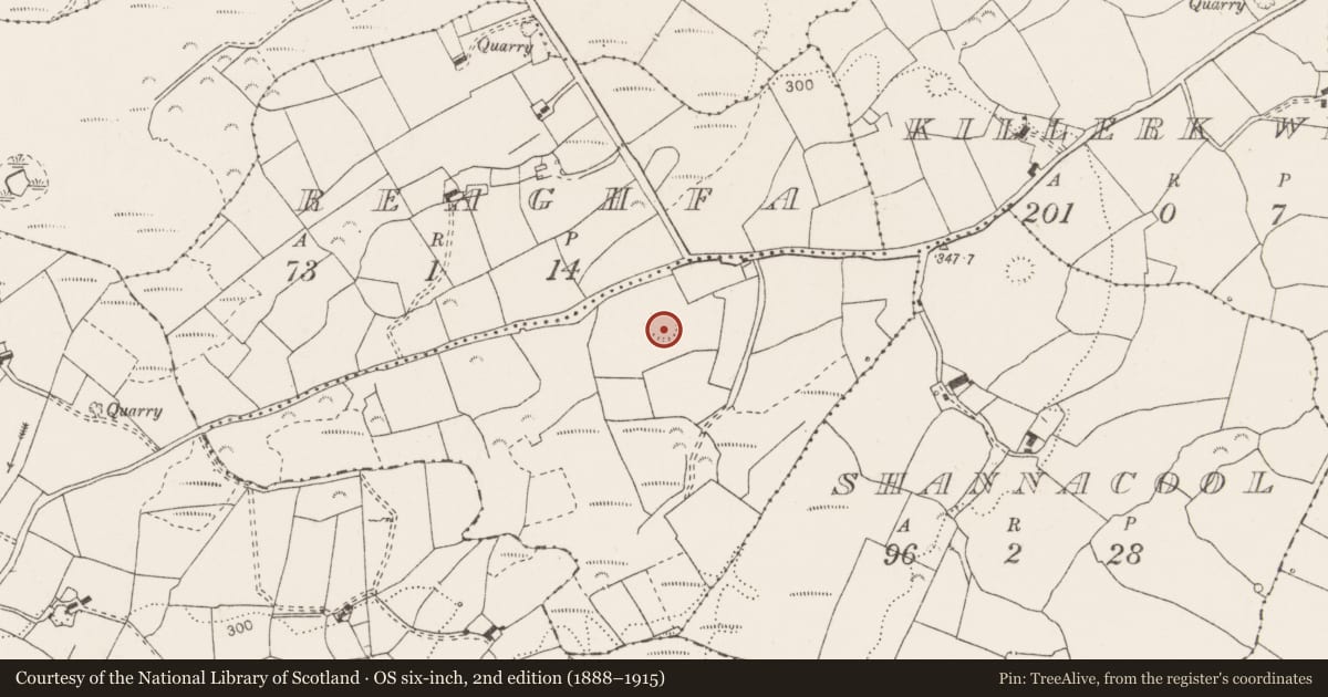 Ordnance Survey six-inch map, 2nd edition (1888–1915) covering the location of Ringfort - rath, Killerk West, County Clare, with a pin at the register's coordinates