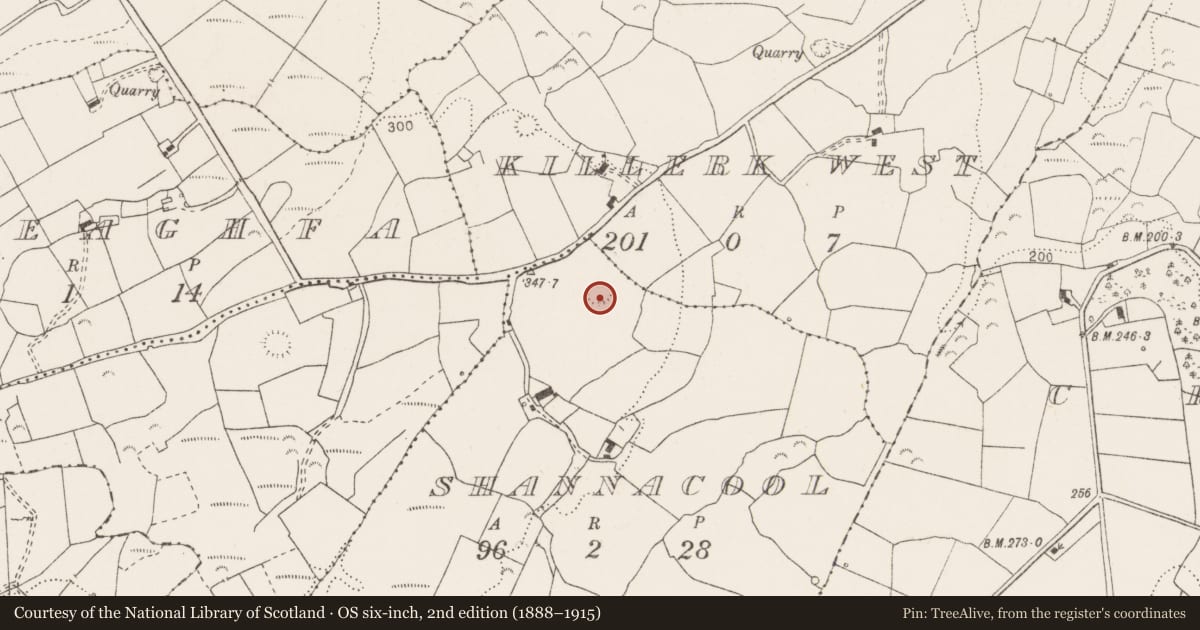 Ordnance Survey six-inch map, 2nd edition (1888–1915) covering the location of Ringfort - rath, Shannacool, County Clare, with a pin at the register's coordinates