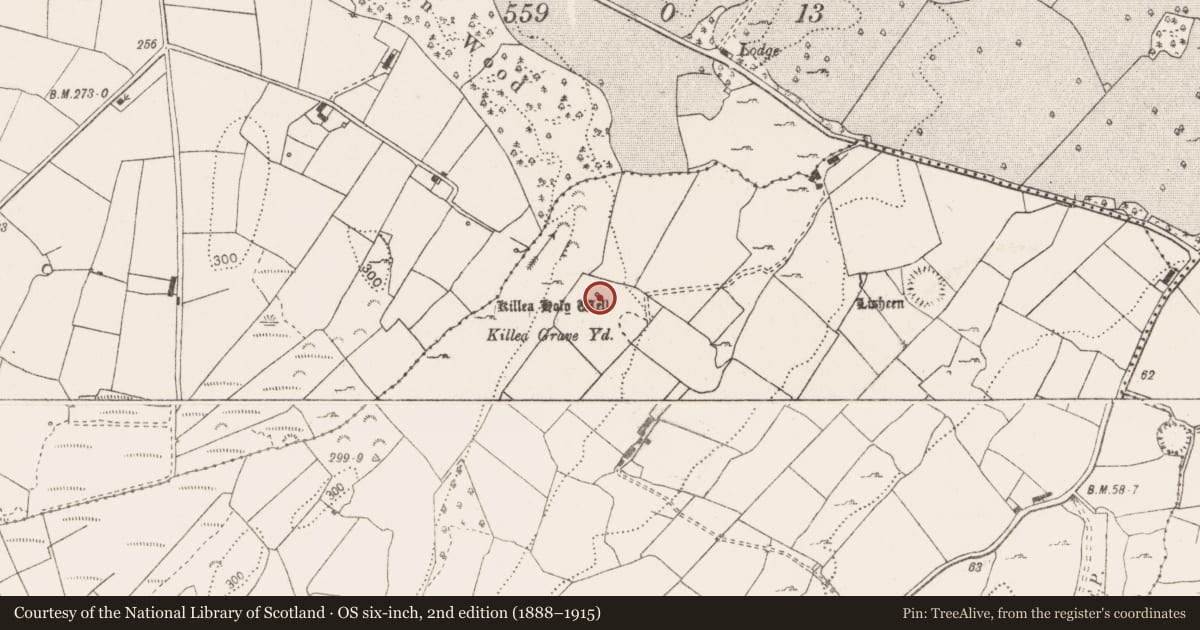 Ordnance Survey six-inch map, 2nd edition (1888–1915) covering the location of Ritual site - holy well, Lisheen, County Clare, with a pin at the register's coordinates
