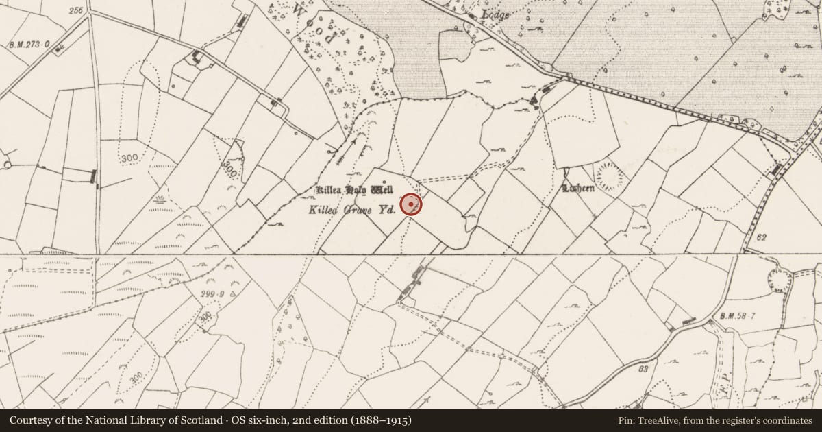 Ordnance Survey six-inch map, 2nd edition (1888–1915) covering the location of Burial ground, Lisheen, County Clare, with a pin at the register's coordinates