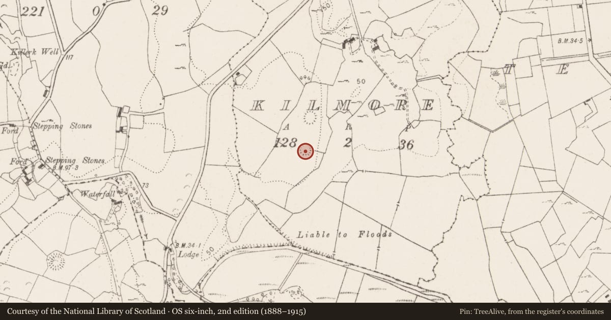 Ordnance Survey six-inch map, 2nd edition (1888–1915) covering the location of Ringfort - rath, Kilmore, County Clare, with a pin at the register's coordinates