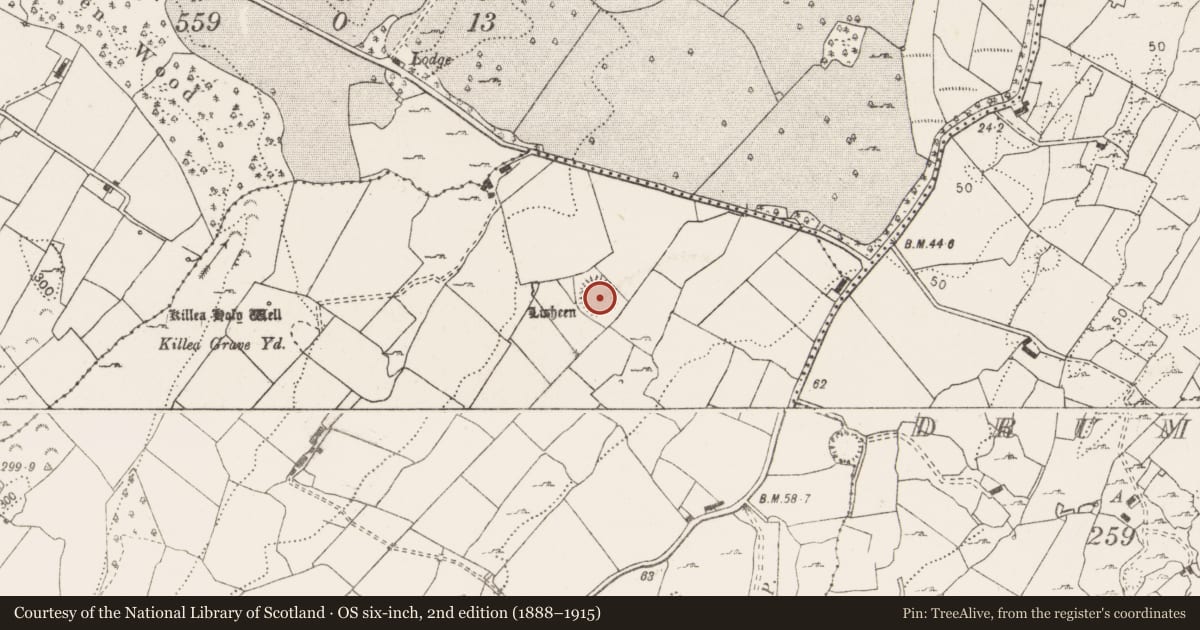 Ordnance Survey six-inch map, 2nd edition (1888–1915) covering the location of Ringfort - rath, Lisheen, County Clare, with a pin at the register's coordinates