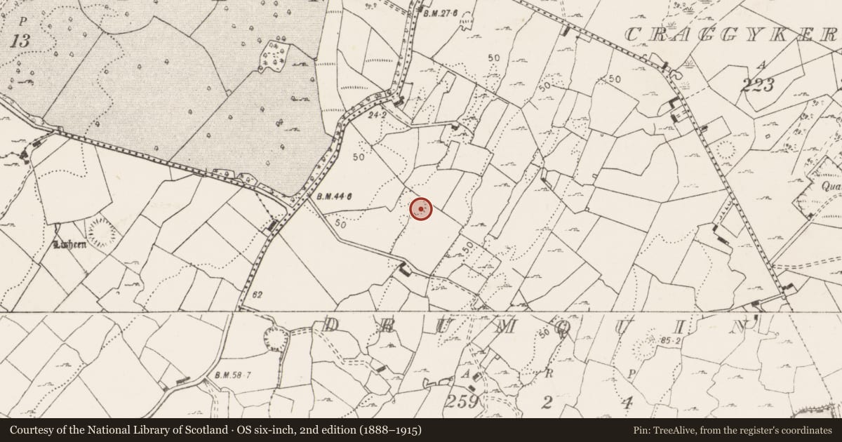 Ordnance Survey six-inch map, 2nd edition (1888–1915) covering the location of Enclosure, Drumquin, County Clare, with a pin at the register's coordinates