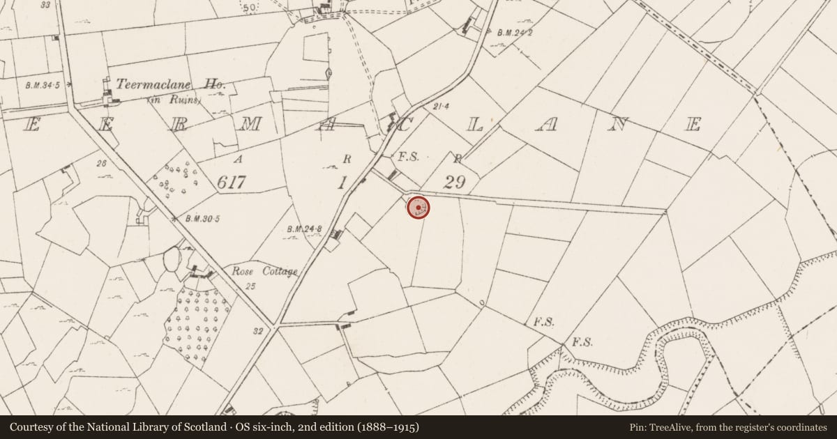 Ordnance Survey six-inch map, 2nd edition (1888–1915) covering the location of Ringfort - rath, Teermaclane, County Clare, with a pin at the register's coordinates