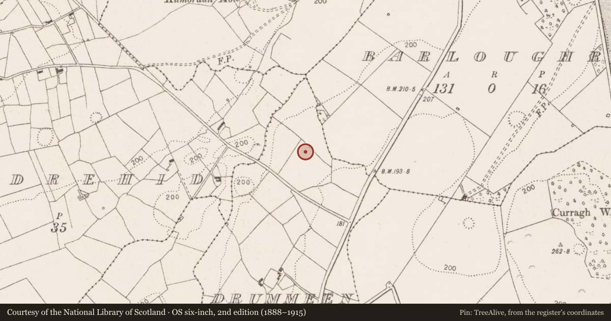Ordnance Survey six-inch map, 2nd edition (1888–1915) covering the location of Ringfort - rath, Drummeen East, County Clare, with a pin at the register's coordinates