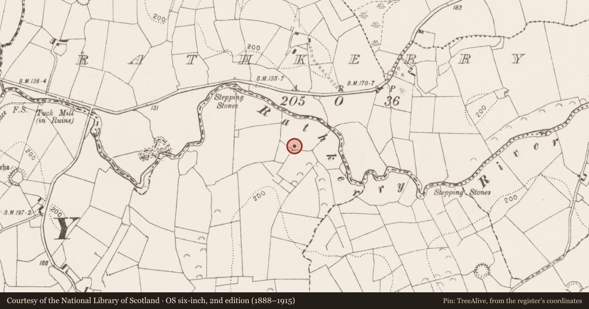 Ordnance Survey six-inch map, 2nd edition (1888–1915) covering the location of Bullaun stone, Ballymacooda, County Clare, with a pin at the register's coordinates